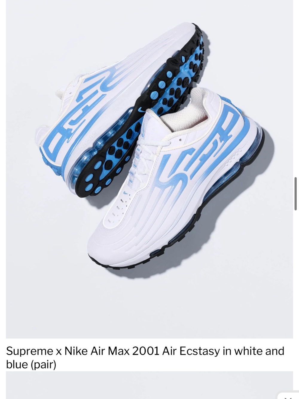 Supreme / Nike air max sneakers 2001